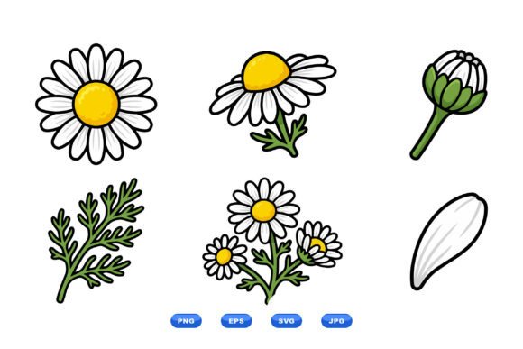 Cute Daisy Flower Clipart Set: Graphics & Illustrations