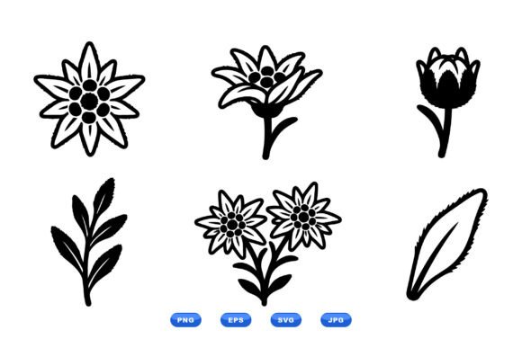 Hand Drawn Alpine Flower SVG: Graphics & Illustrations