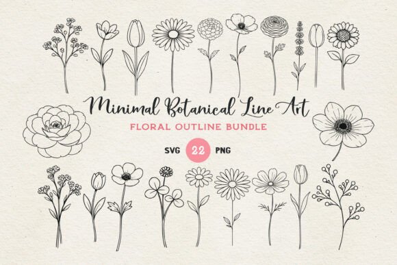 Minimal Botanical Flower SVG Bundle: Graphics & Illustrations