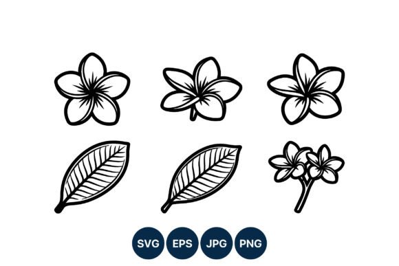 Plumeria Flower Line Art Vector Set Review