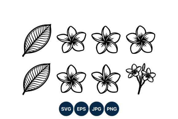 Plumeria Line Art: Graphics & Illustrations for Shops