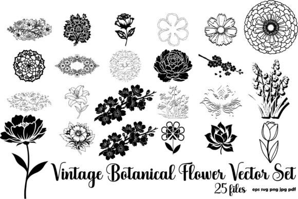 Vintage Botanical Flower Vector Set: Graphics & Illustrations