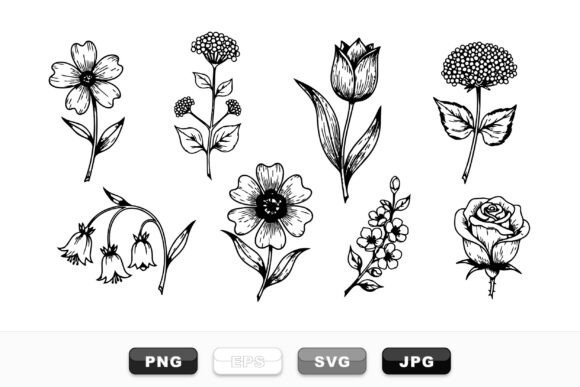 Vintage Flower Set: Graphics & Illustrations Review